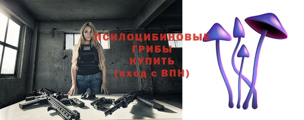 2c-b Покачи