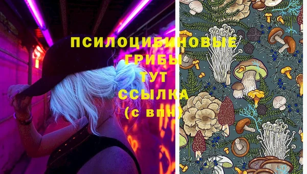 спайс Покров